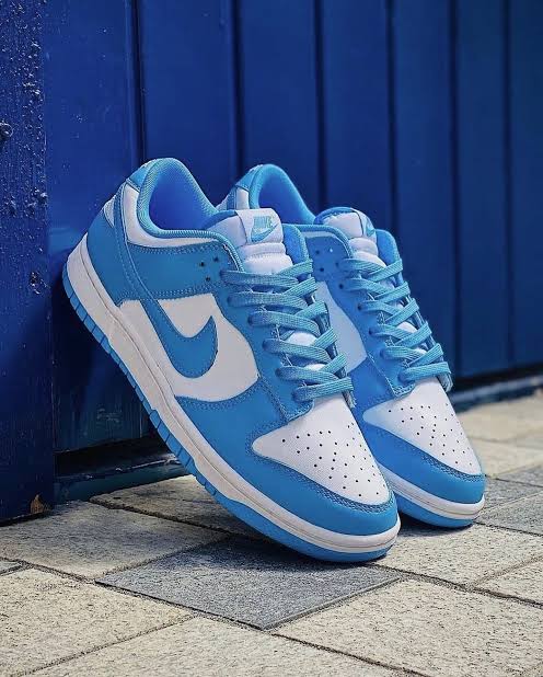 Nike Dunk Low BLUE 🩵